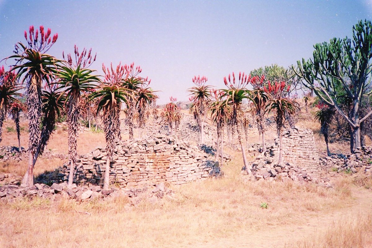 UtopianMag's tweet photo. UTOPIAN Magazine 

Great #Zimbabwe is an ancient archaeological site located in southeastern Zimbabwe. It was the capital of the #Kingdom of Zimbabwe during its heyday, thought to have flourished between the 11th and 15th centuries. The site is renowned for its extensive #stone ruins, including the famous Great Enclosure, built using impressive dry stone construction techniques. Great Zimbabwe is a @unesco World Heritage Site and a significant historical and cultural landmark in southern #Africa. #utopianmagazine