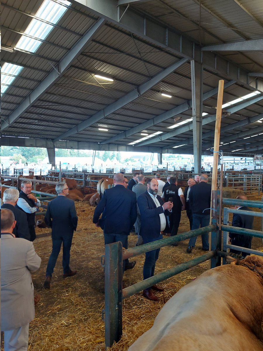 DouatRemi's tweet photo. Inauguration du festival de l'élevage et de la Gastronomie de Parthenay.
La @MFRPOITOU était aux côtés des MFR 79, @chambreagriculture,
@ParthenayGatine pour un grand week-end ou l'agriculture va briller ! https://t.co/2Qn52gfssZ