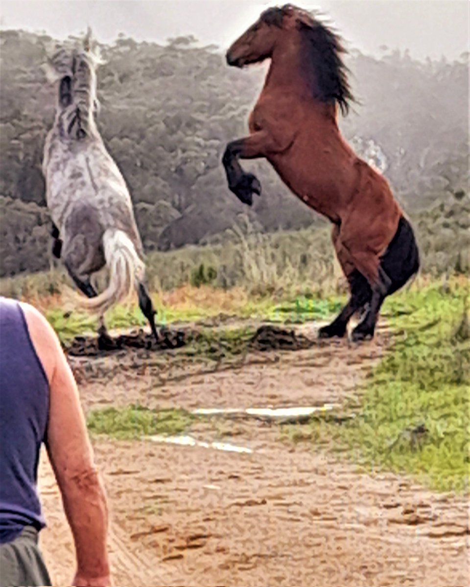 alexandragrose.blogspot.com/2023/09/battle…