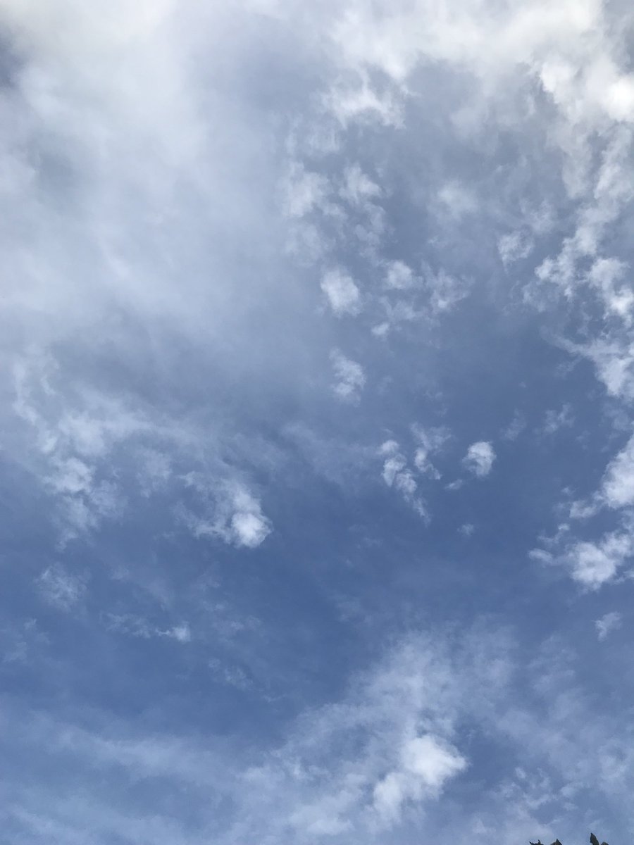 peace3096817543's tweet photo. #風
#sky #season https://t.co/Vxwfppdy1P
