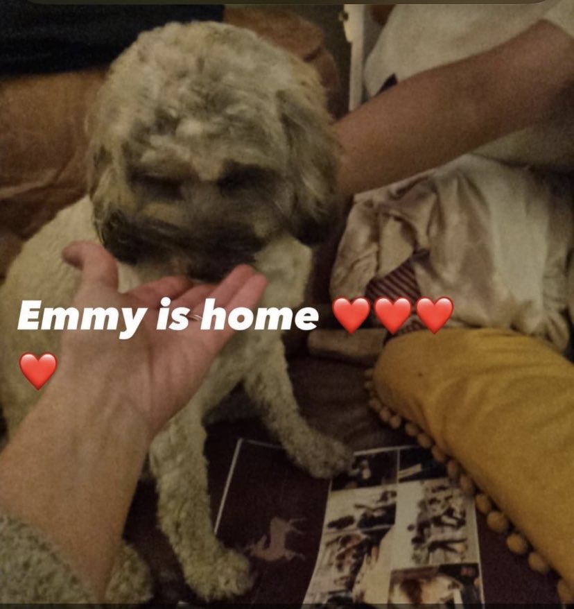 lizkey12's tweet image. Incredible - found her way home apparently crying at the door step at 1am 🥰