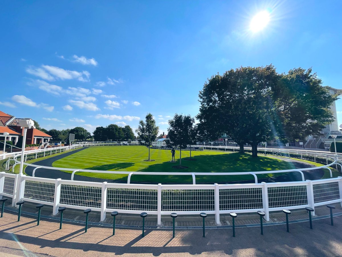 We return to The Rowley Mile today for the first of 10 Autumn fixtures!

Gates open - 11.40am
First race - 1.40pm
A superb card including the <a href="/TurnersLtd/">Turners Soham Ltd</a>  Cesarewitch Trial!

Tickets are available at the gates!