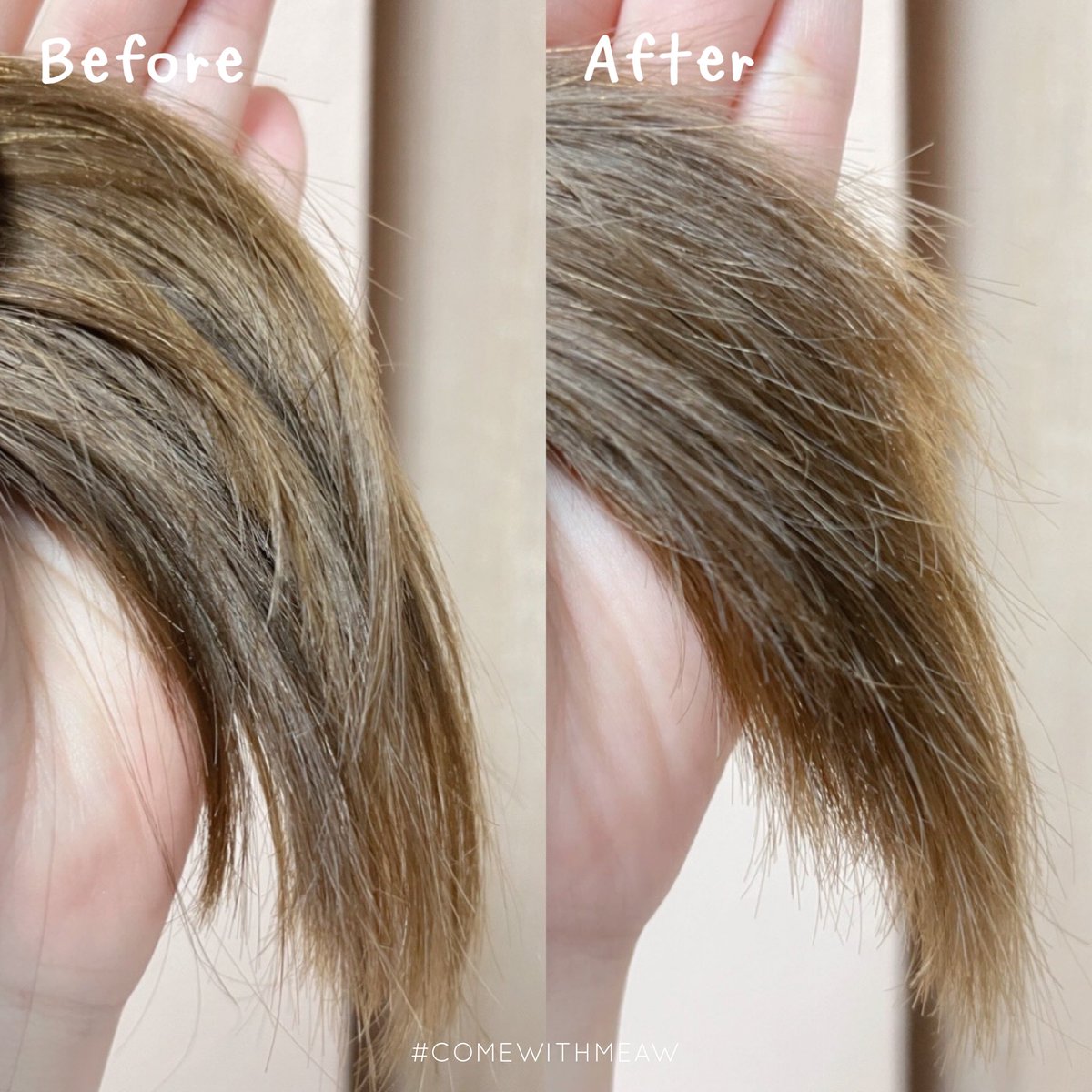 แมวตะเร้ก♡ tweet media