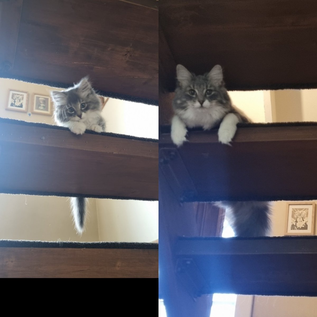 My baby has grown so much but she is still baby