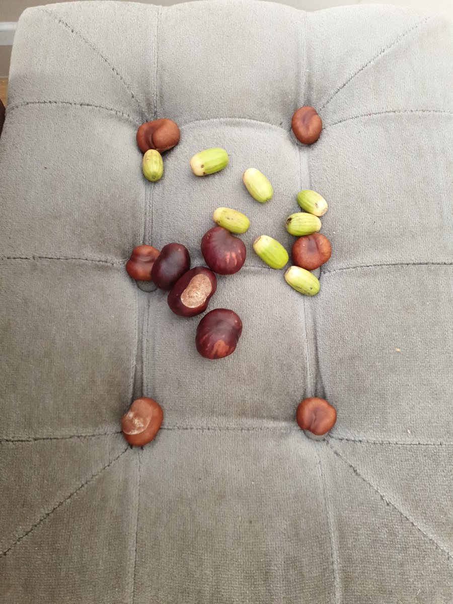 Alistair 🐆 tweet media