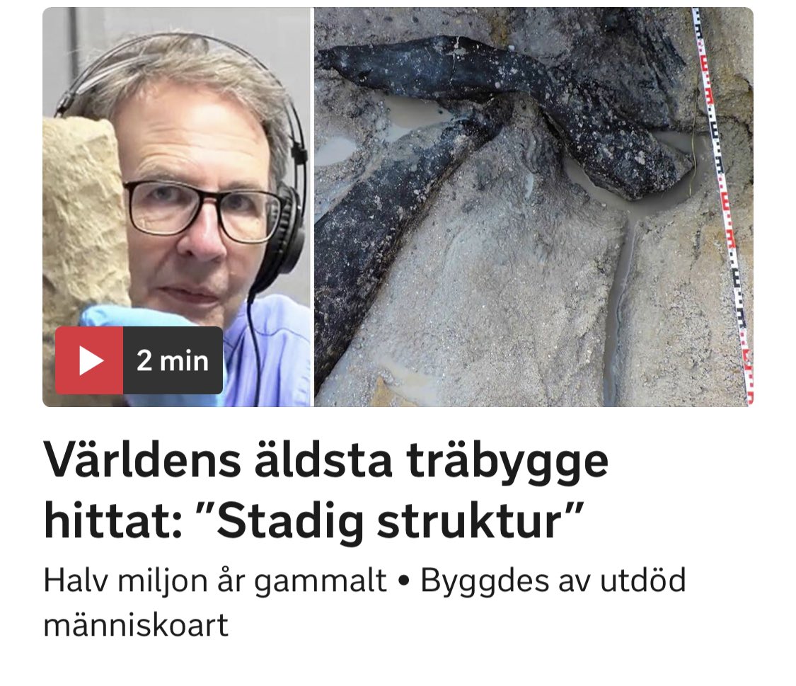 Jag har hört att bävrar är vansinniga pga fake news
