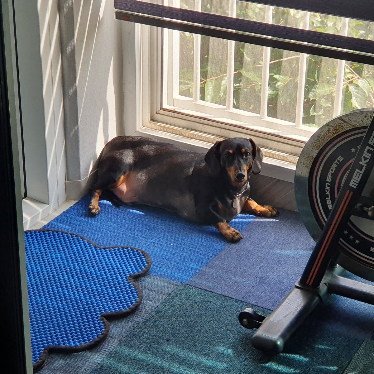 🕯️째도령 /운명전쟁49🕯️ tweet media