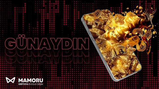 Mamoru Türkiye tweet media