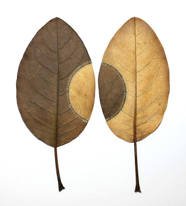 womensart1's tweet photo. Crocheted/sewn leaves by UK artist Susanna Bauer #womensart 

#AutumnEquinox https://t.co/Yt63s9AwC8