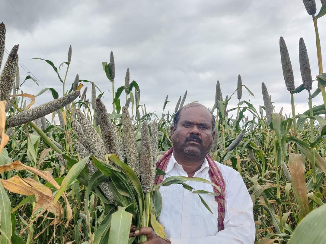 Maharashtra Millets Mission tweet media