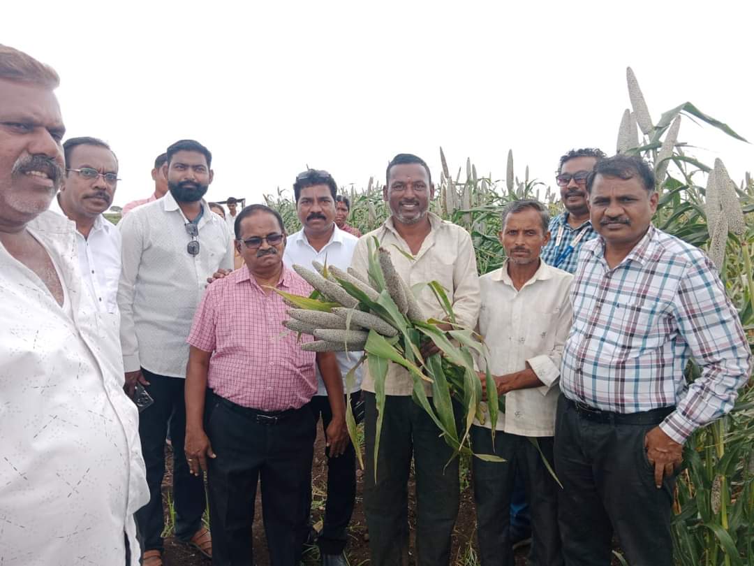 Maharashtra Millets Mission tweet media