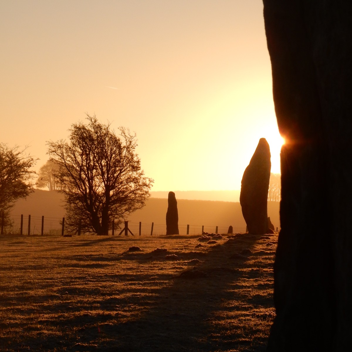 Today we celebrate the Autumn equinox, when day and night are of equal length. 

As the nights draw in, it’s time to take stock, slow down and embrace the season’s delights. What are you looking forward to this autumn?