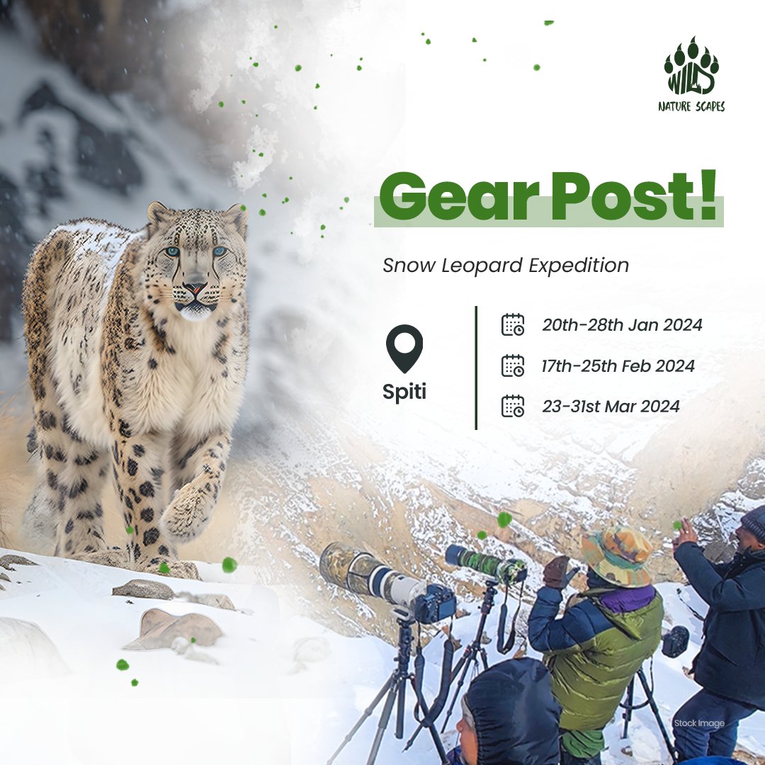 Get Your Gear Right for the Snow Leopard Expedition!
Here’s a checklist to help you along.

➡️ Camera Bodies
➡️ Lenses
➡️ Tripods
➡️ Accessories

Location: Chicham/Kibber, Spiti
Batch Details :
20th-28th Jan 2024
17th-25th Feb 2024
23rd-31st Mar 2024

#snowleopardexpedition