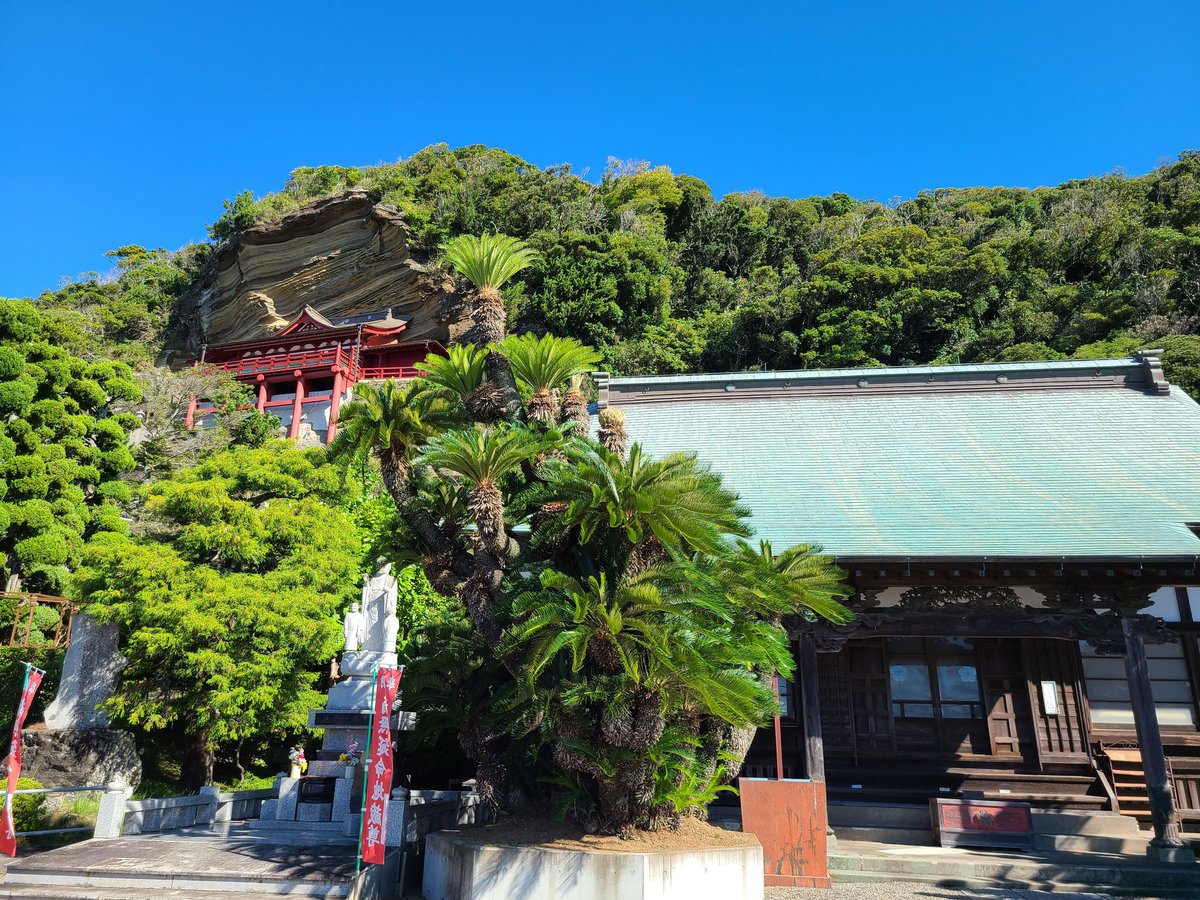 kamyuin679193's tweet photo. 館山市船形　船形山　大福寺🌸崖観音
本堂から観音堂まで100段ほど。観音堂からの眺めは素晴らしいです✨
観音堂では十一面観世音菩薩を拝み、心清らか✨
久しぶりの御朱印を拝受。
#御朱印
#崖観音 https://t.co/PxOcxfTBP5