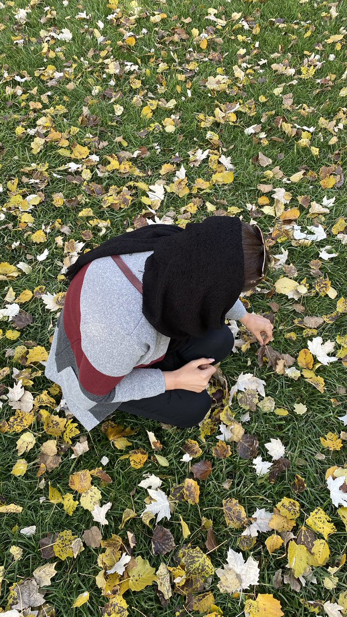 orkide757's tweet photo. پاییز اومده، پی نامردی...🍁🍂 https://t.co/CpoMUq11Lh