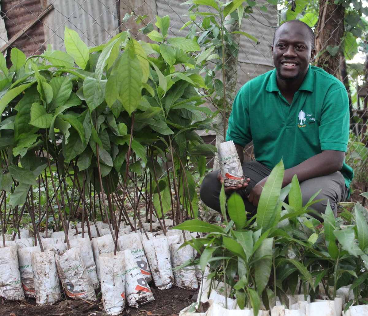 CharlesBatte's tweet photo. I am very grateful to @tree_adoptionug partners @RoofingsGroupUG for providing good quality fruit tree seedlings for growing this rainy season. 
15,000 trees pledged as part of the #Run4Climate restoration drive received. Kudos 👏 
Partnerships for #ClimateAction NOW! https://t.co/UUlXV0O1E4