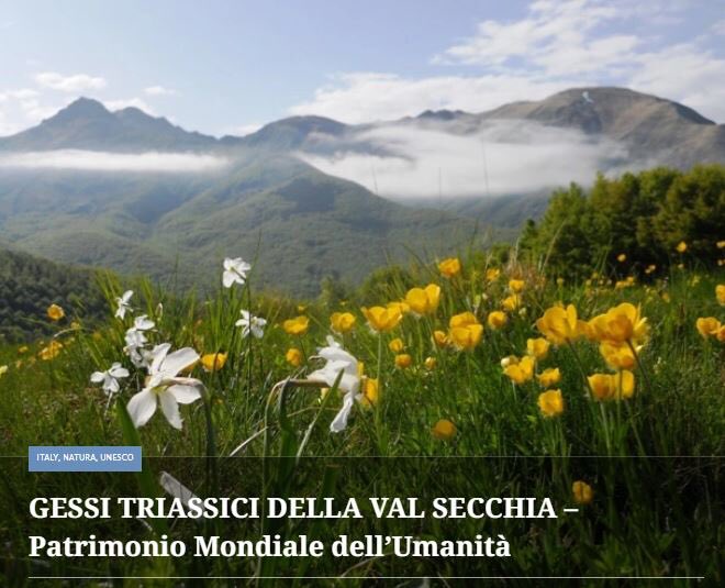 Il Giornale Delle Belle Notizie tweet media