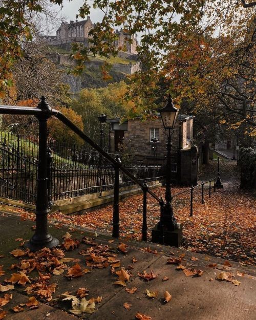 writerinparis's tweet photo. it's autumn 🧡 https://t.co/Rg66ab31bC