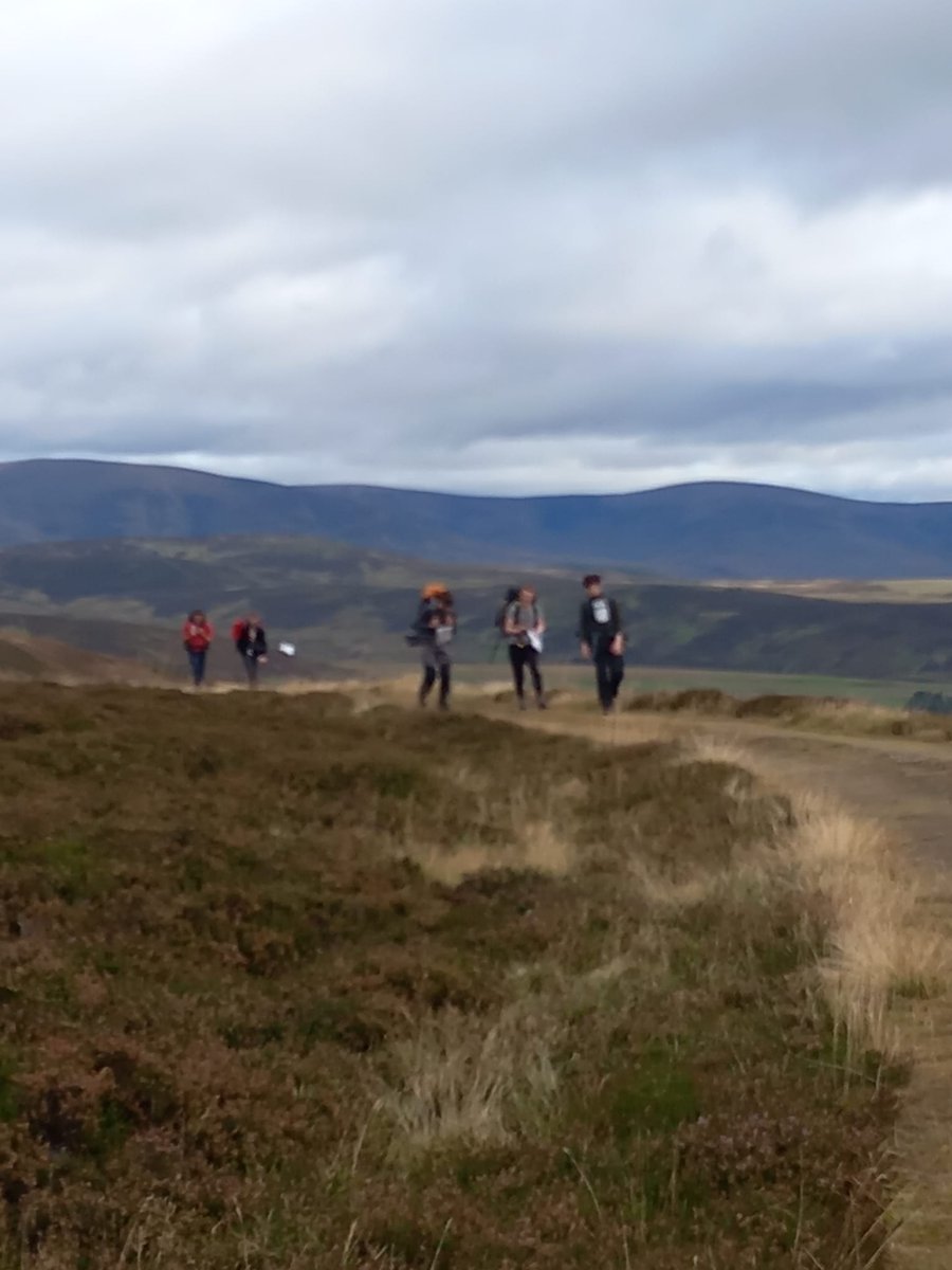 GroveDofe's tweet photo. https://t.co/KcBKmYJvqL