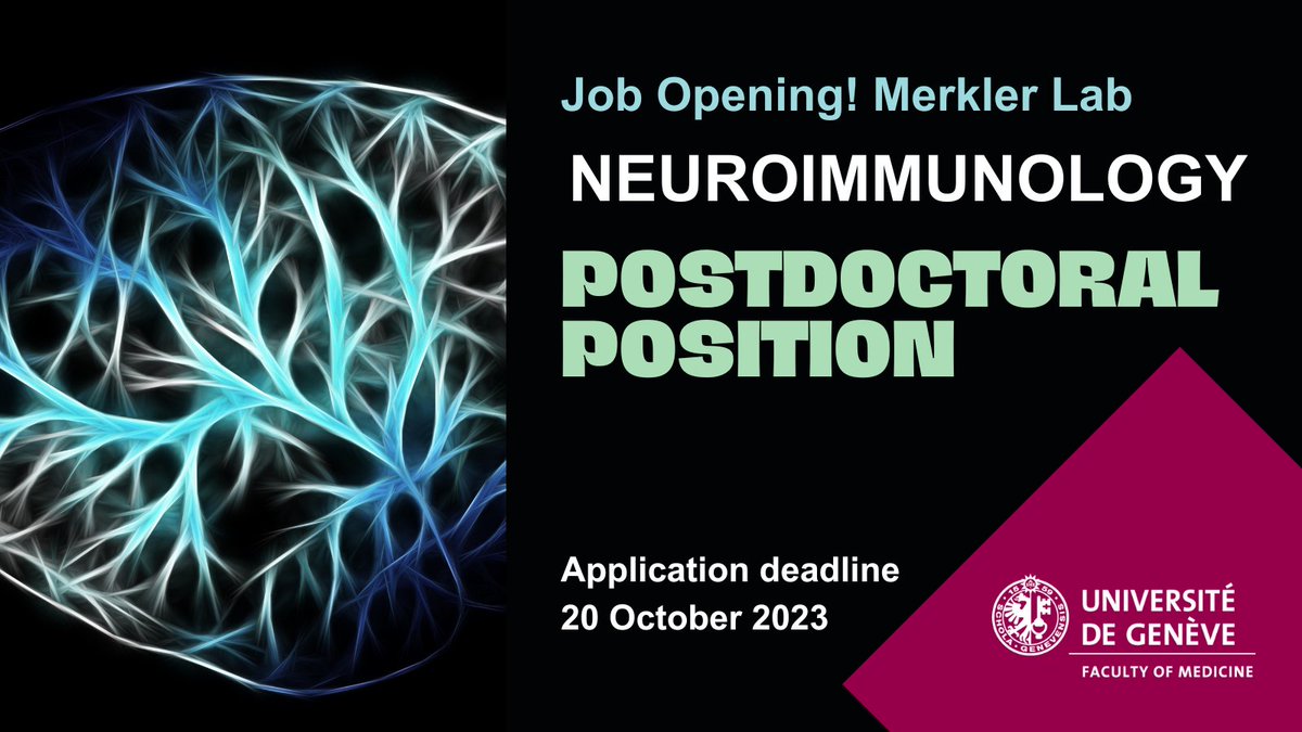 📢📢#PostdocPosition! Are you interested in the phagocyte-neuron interplay during infectious and #autoimmune diseases of the central nervous system? Join @Merkler_Lab! 👉bit.ly/3MWd6vQ #neuroimmunology #inflammation #postdocjobs #sciencejobs @unige_en @hug_ge