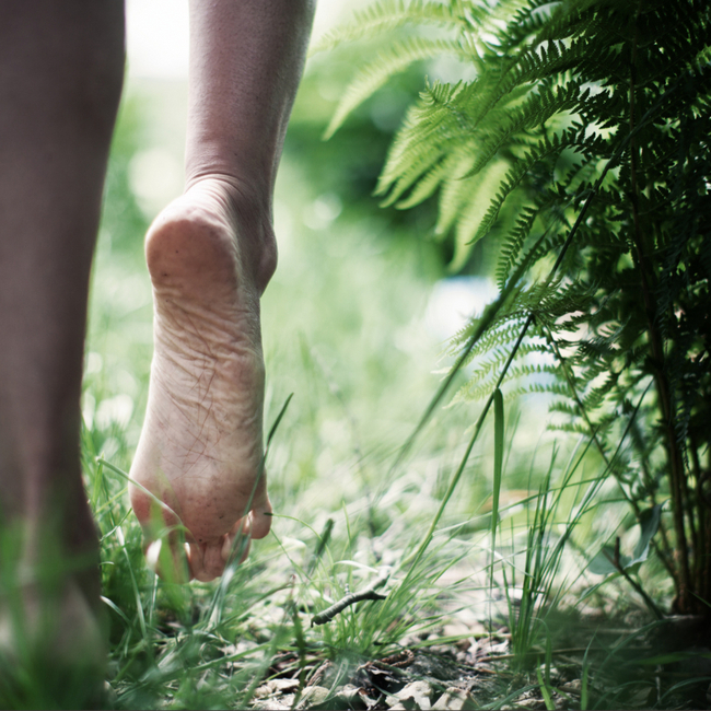 nadplusathome's tweet photo. Literally connecting with the earth by walking barefoot on natural surfaces like grass, sand, or soil is a physical form of grounding - beneficial for individuals seeking to reduce stress and increase self-awareness. #self-care #wellness #NAD https://t.co/2H2yZnDbXJ