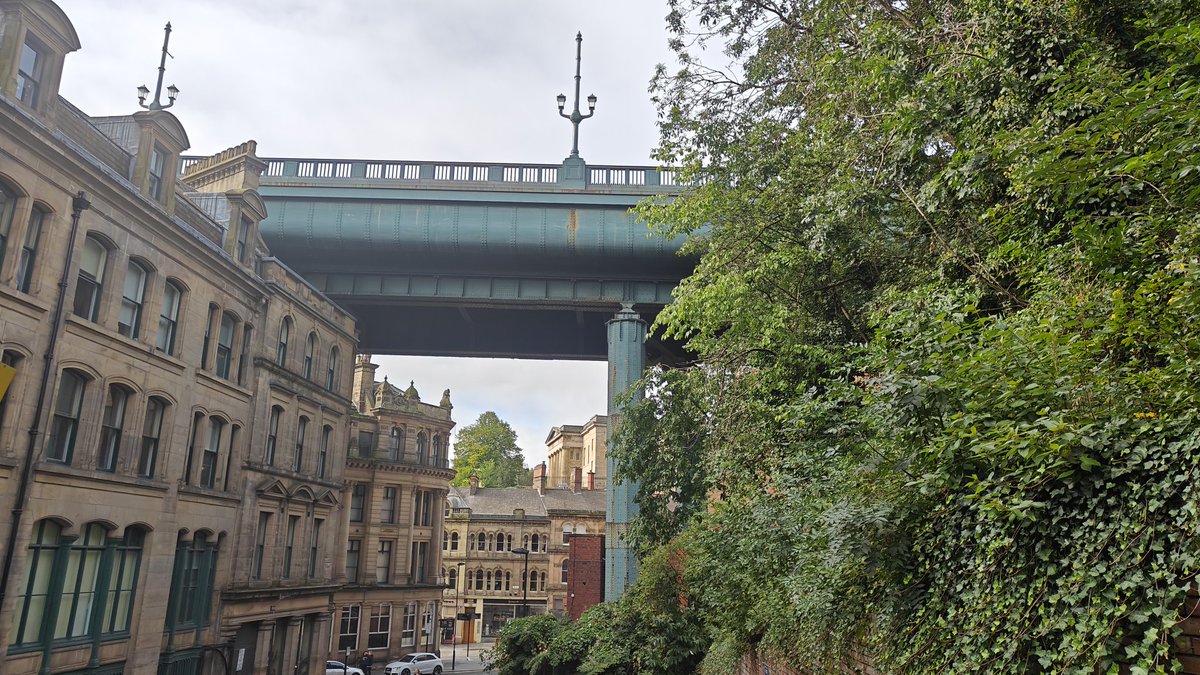 Will Jennings  tweet media