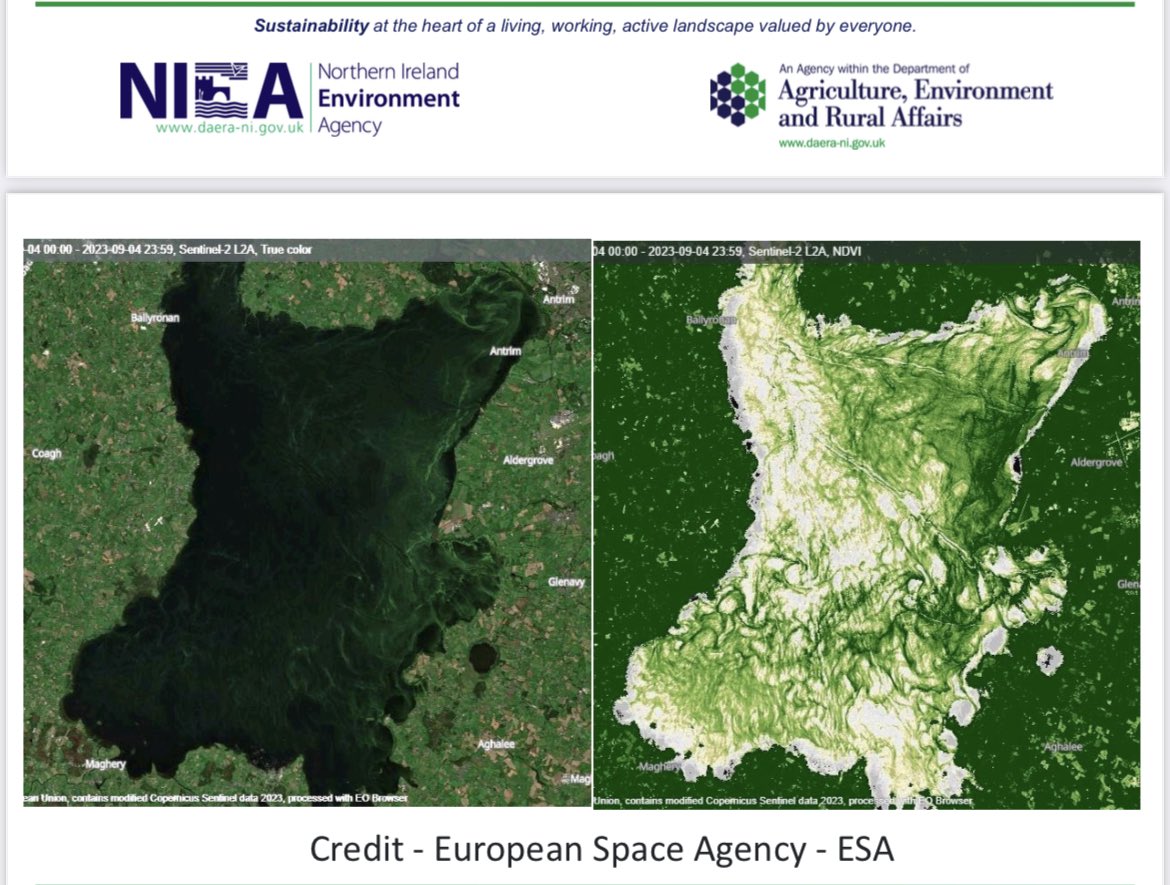 Lough Neagh pictured by European Space Agency.