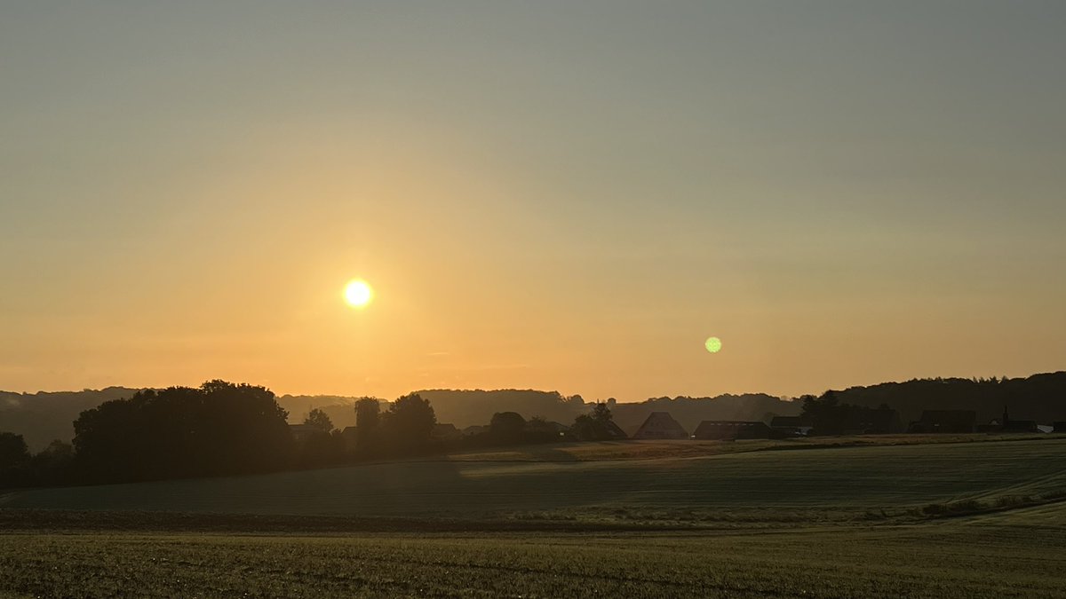 🇧🇪 SAP Inside Track Belgium tweet media