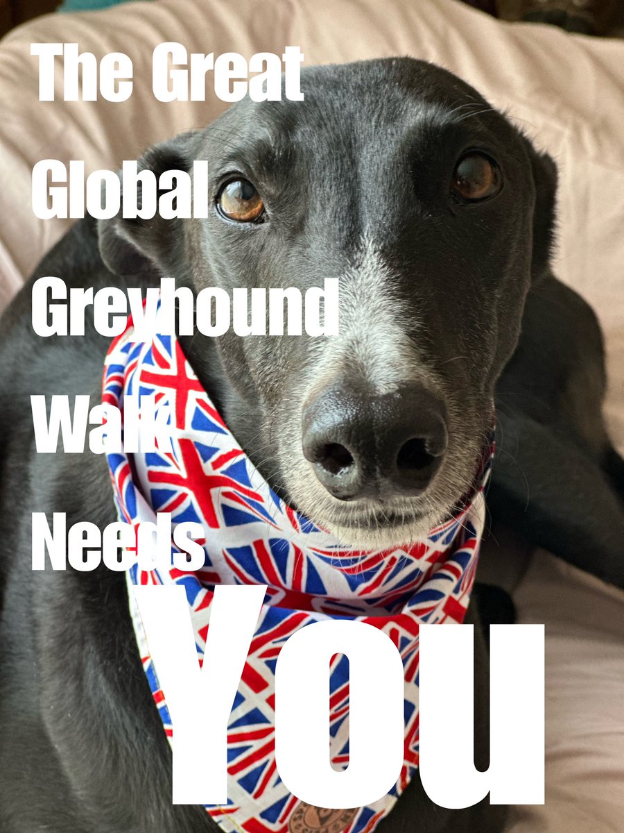 It’s #greatglobalgreyhoundwalk tomorrow! You going? 💙🐾🐾 #greyhoundsoftwitter #houndsoftwitter