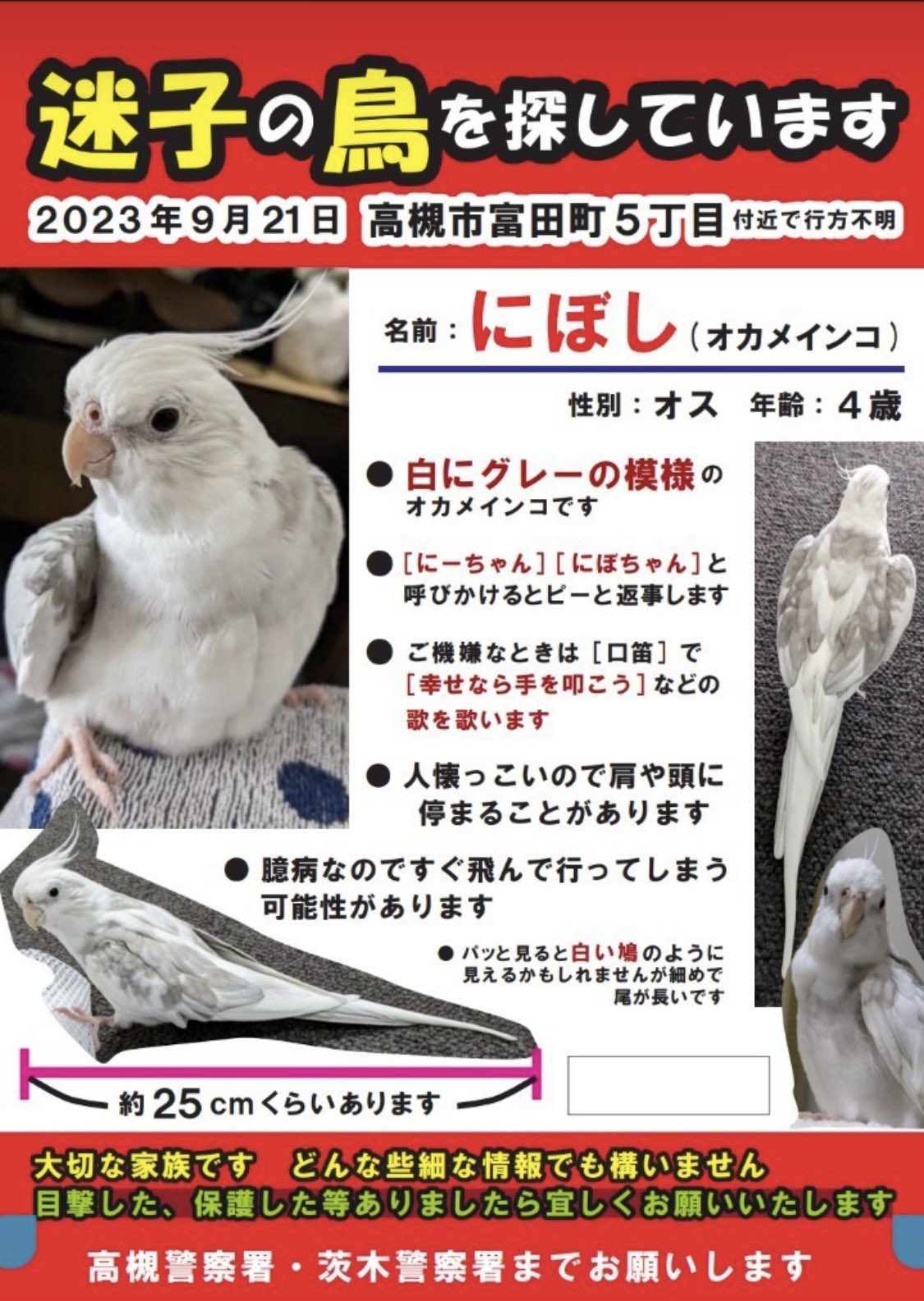 この地方では名の知れた、大型鳥籠。6-023