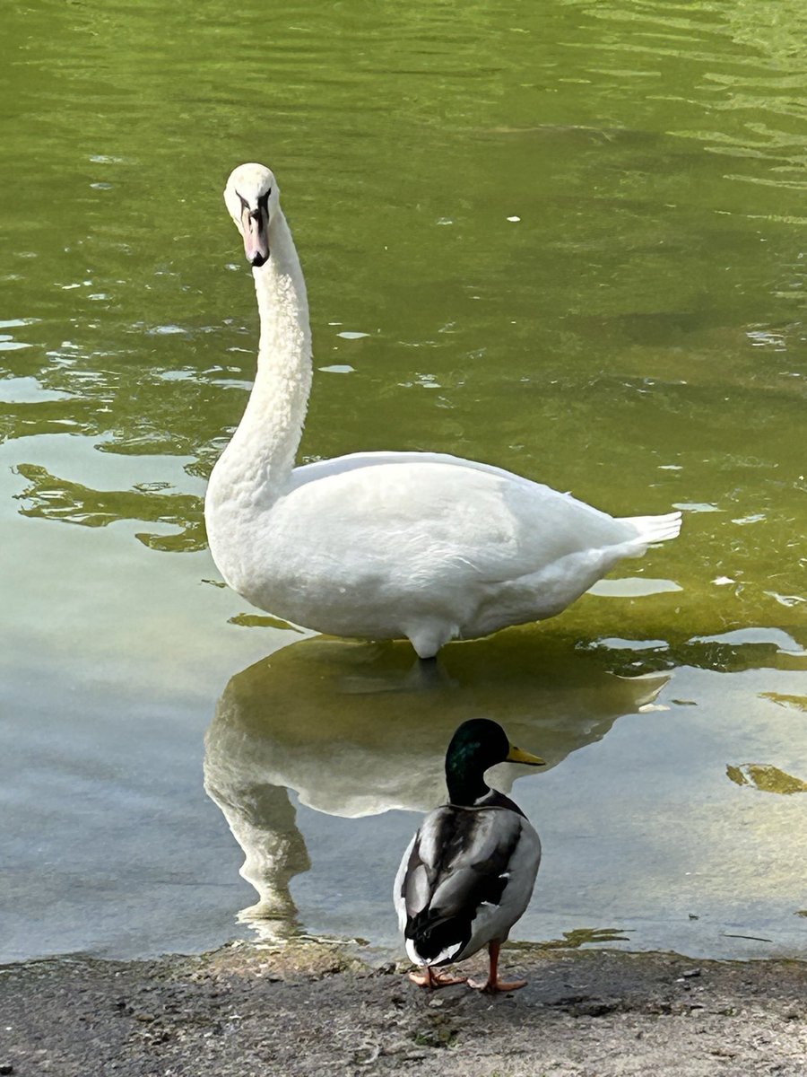 S mile at a stranger
A sk your neighbour how they are?  
T ry something new 
U se a journal to be positive 
R realise your strengths and talents 
D ance for fun 
A llow yourself to just ‘be’ in nature 
Y es you can achieve your dreams 

Have the most wonderful day ❤️🐝 xx