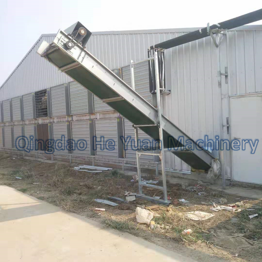 MaggieLi1221's tweet image. Automatic H type broiler cage equipment from Qingdao He Yuan which has finished installtion &amp;amp; test and now it's raising chicks.
#broilercage
#poultryequipment
#Chinesemanufacturersupplier
#Chickenfarm
#layercage
#batteryautomatic
#steelstructurehouse
#highqualitybestprice