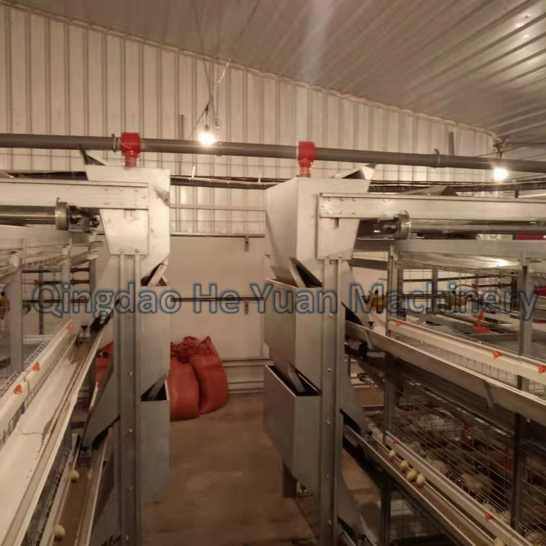 MaggieLi1221's tweet image. Automatic H type broiler cage equipment from Qingdao He Yuan which has finished installtion &amp;amp; test and now it's raising chicks.
#broilercage
#poultryequipment
#Chinesemanufacturersupplier
#Chickenfarm
#layercage
#batteryautomatic
#steelstructurehouse
#highqualitybestprice