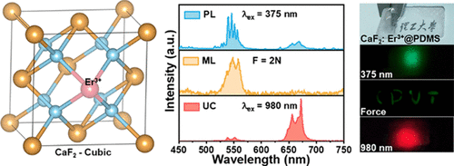 bhkenlo's tweet image. Multimode-Responsive Luminescence of Er3+ Single-Activated CaF2 Phosphor for Advanced Information Encryption | Inorganic Chemistry pubs.acs.org/doi/10.1021/ac… Yu, Wang, and co-workers @InorgChem #erbium #CaF2 #phosphor #anticounterfeiting #information_encryption