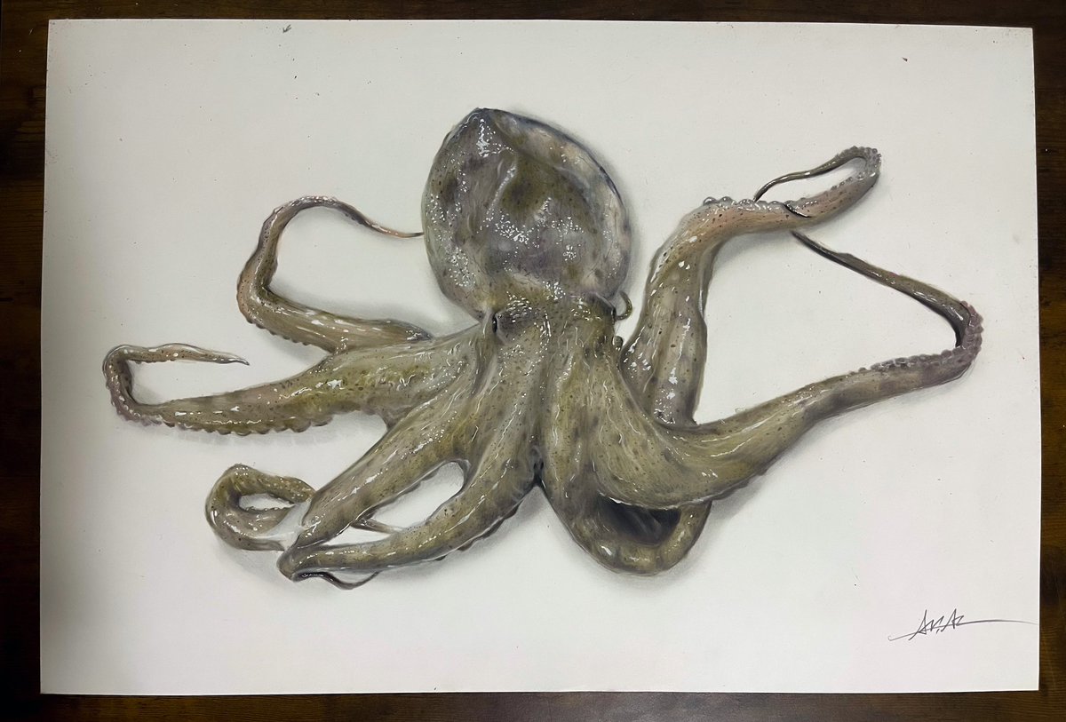 ariiiiia_art's tweet photo. 色鉛筆でタコ描きました🐙
本物に見えたら嬉しい...！！ https://t.co/qvrj3D5KD3