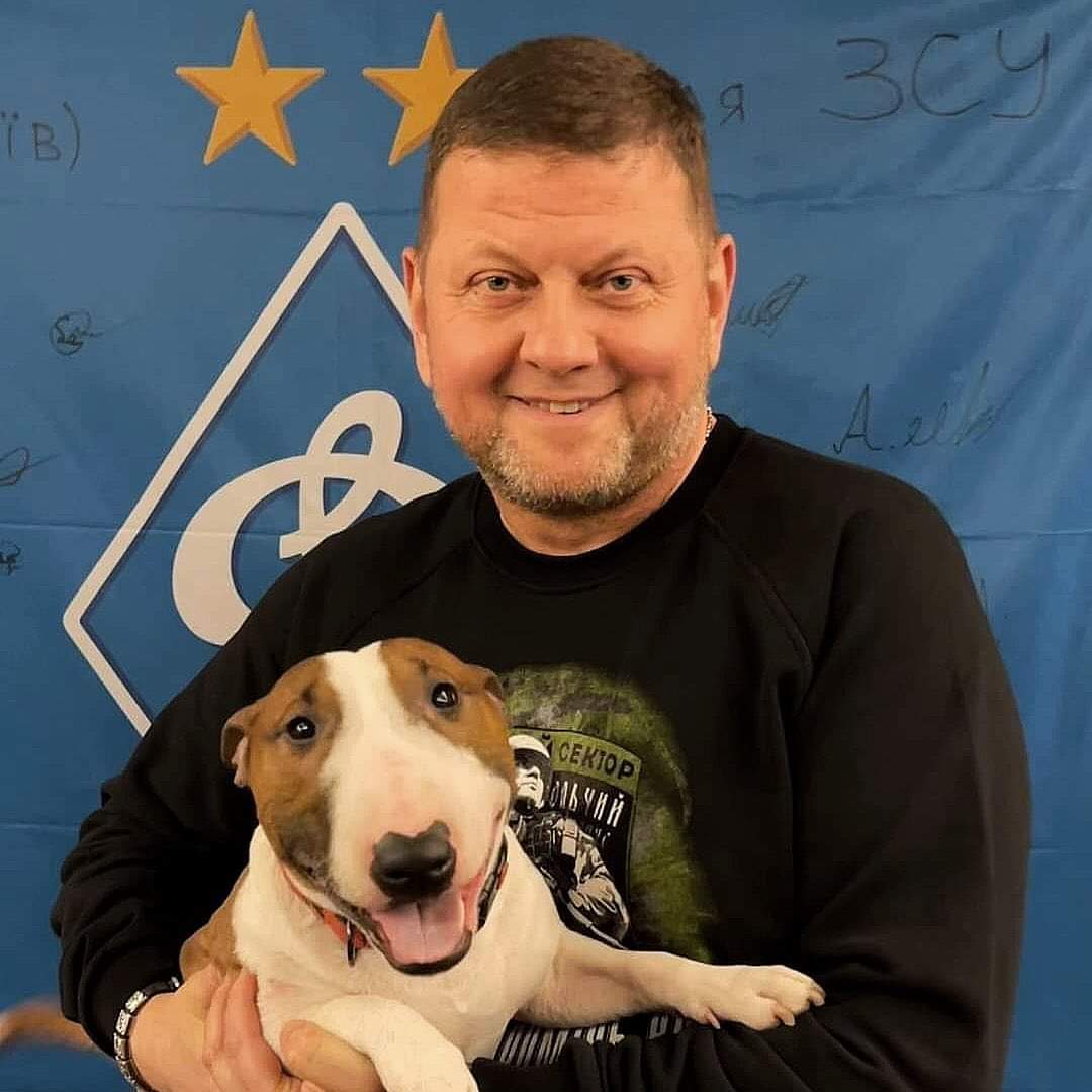 lingerence's tweet photo. Souvenir pic 1: 2nd band = Sokyra Peruna, the band of Arseniy Bilodub, on the "Central Council" of the Right Sector.

Pic 2: Their 2014 album.

Pic 3-4: General Valerii Zaluzhnyi 6 months ago happily promoting the same shirt as the 2014 album, made by Bilobub's nazi-clothing cie. https://t.co/PnuXwQCmJH