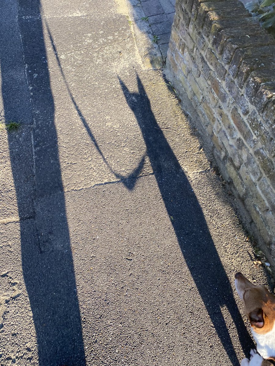 Andrew Cappaert tweet media