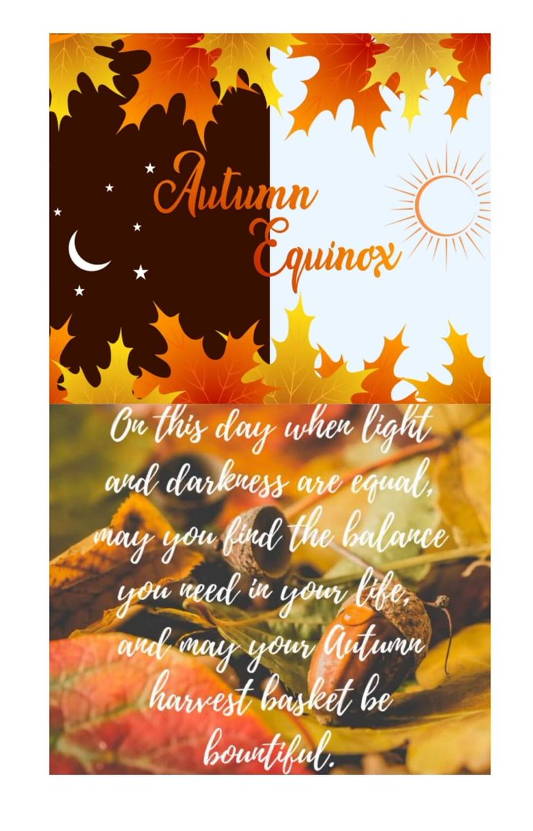 Jools Kosterman (@ojools) on Twitter photo 