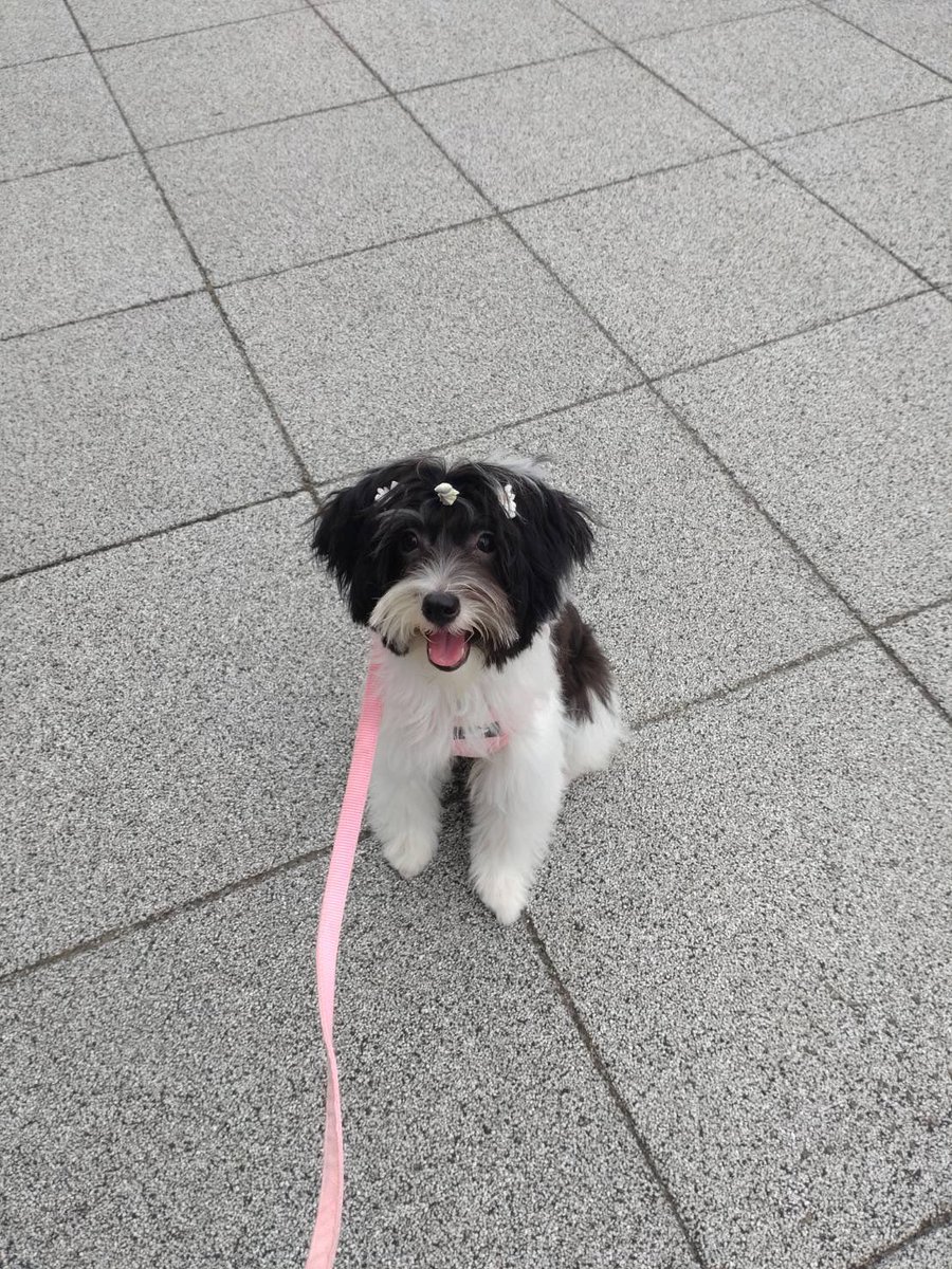 kid_jo_6370's tweet photo. オシャレして帰ってきた笑 https://t.co/wsYIRnVbjq