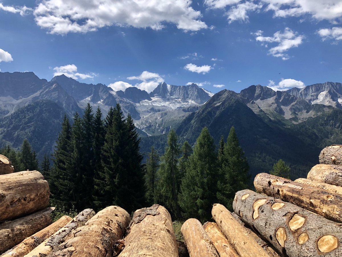 Buongiorno e buon fine settimana da Vermiglio 😎 !!
#buonfinesettimana #passeggiata
Ph 📸: Serena Filippini