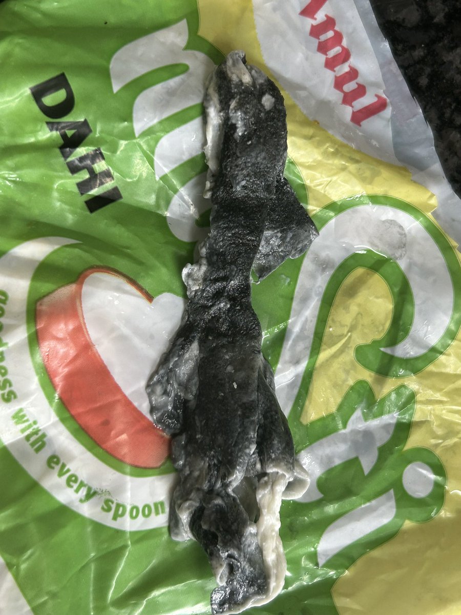 hppandya01's tweet photo. Shocked and disgusted to find a lizard in curd from Amul today! 😱🦎 This is serious food safety concern that needs immediate attention. Please, everyone, be cautious with what you consume! #FoodSafety #LizardInCurd #amul #fssai @Amul_Coop  @fssaiindia @jagograhakjago @amulcares https://t.co/jtXjc841La