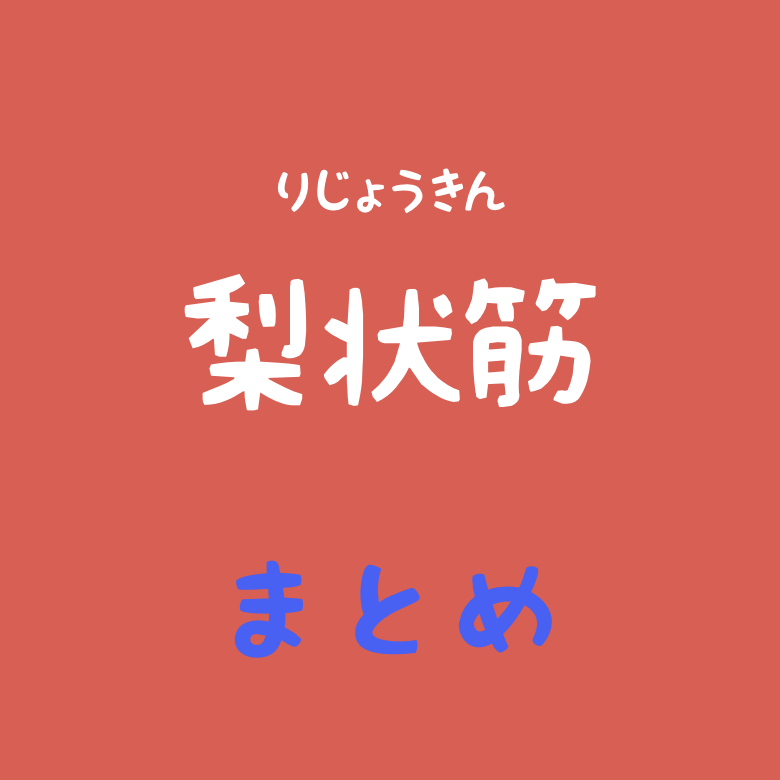 anatomylabo's tweet photo. これまで、梨状筋に起始停止や作用について学んできました。

今回はおさらいです。最後はこの筋肉をまとめて見て記憶を深めておきましょう。

文章付き説明
https://t.co/HVrH0QMMjN

リアル解剖学講座スケジュール・申込
https://t.co/SkgFCJQ9Sq https://t.co/aQng3hRoeu