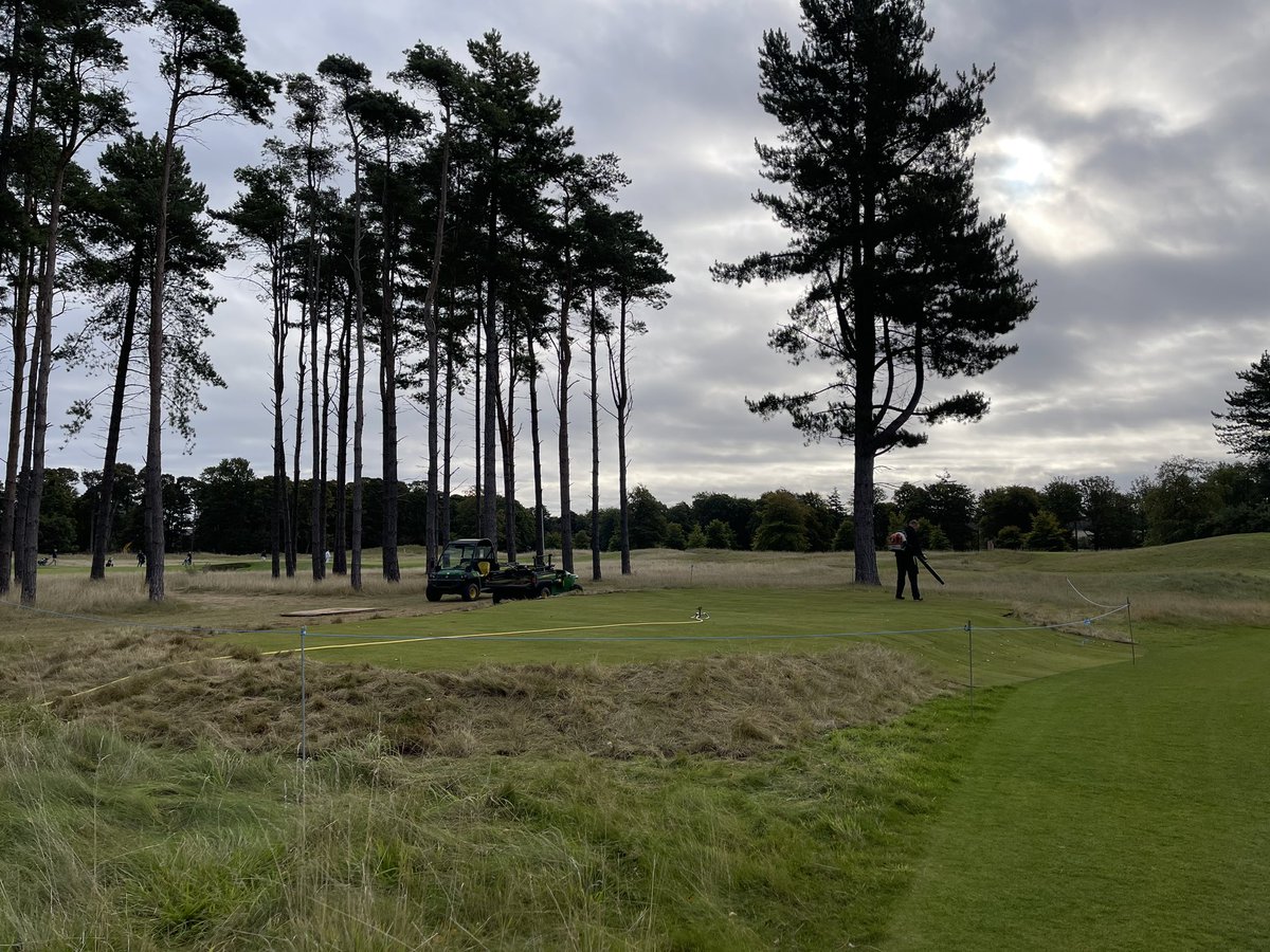 ⛳️-Another tee completed- ⛳️