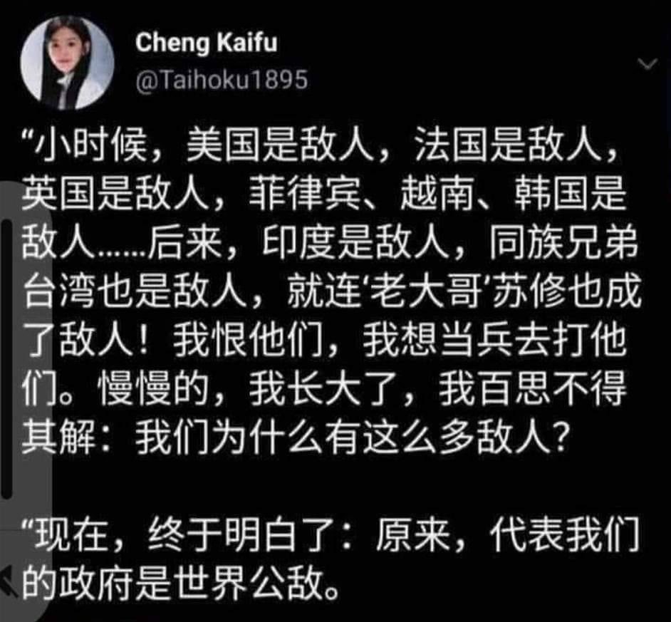 ChinaTruth's tweet photo. 原来我们一直都是被代表😅 https://t.co/plYjcX7HmE
