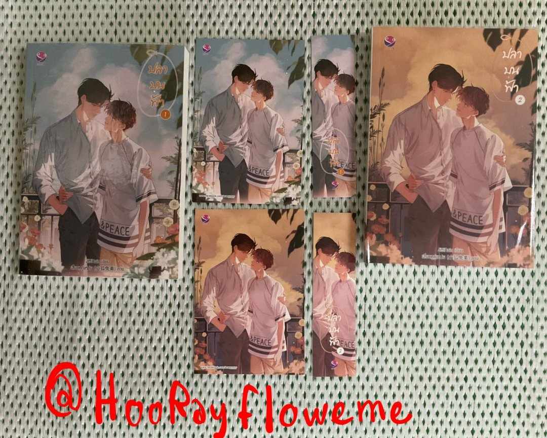HooRayflowerme's tweet photo. ขายนิยายวาย ปลาบนฟ้า 1-2 เล่มจบ ราคา400 รวมส่งคับ นิยายสะสมสภาพดีมากก (ห่อปกด้วย) สนใจทักโลด แม่ค้าพร้อมขายมาก 5555 
#นิยายมือสองสภาพดี #นิยายวาย #นิยายที่ไม่ได้ใช้ปกAI #นิยายวายแนะนำ #ส่งต่อนิยายวาย #ปลาบนฟ้า https://t.co/6R1TGXpATb
