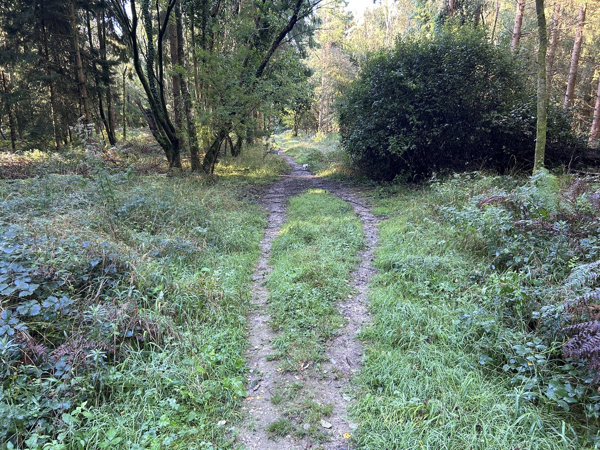 NaturalNav's tweet photo. Smile, itβs a smile path. π #smilepath https://t.co/S8RLV9hUC6
