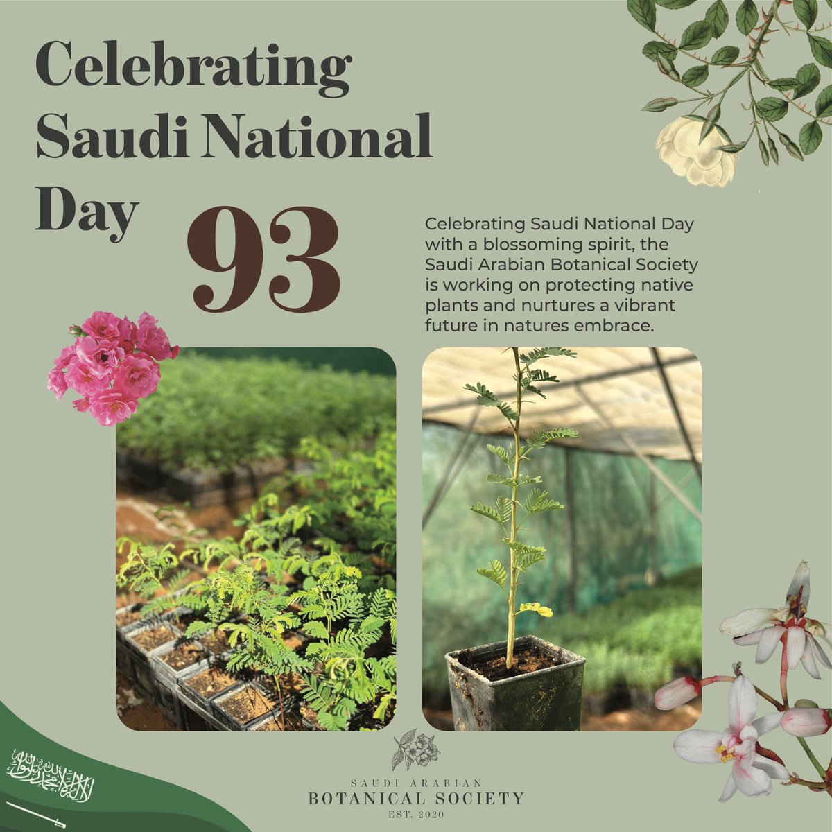 Celebrating Saudi National Day 🇸🇦 with a blossoming spirit, Saudi Arabian Botanical Society الجمعية السعودية للنباتات is working on protecting native plants 🌿 and nurtures a vibrant future in natures embrace

Happy National Day 🇸🇦 💚 🌿 

#SABS #Saudi #Sustainability #KSA #SGI