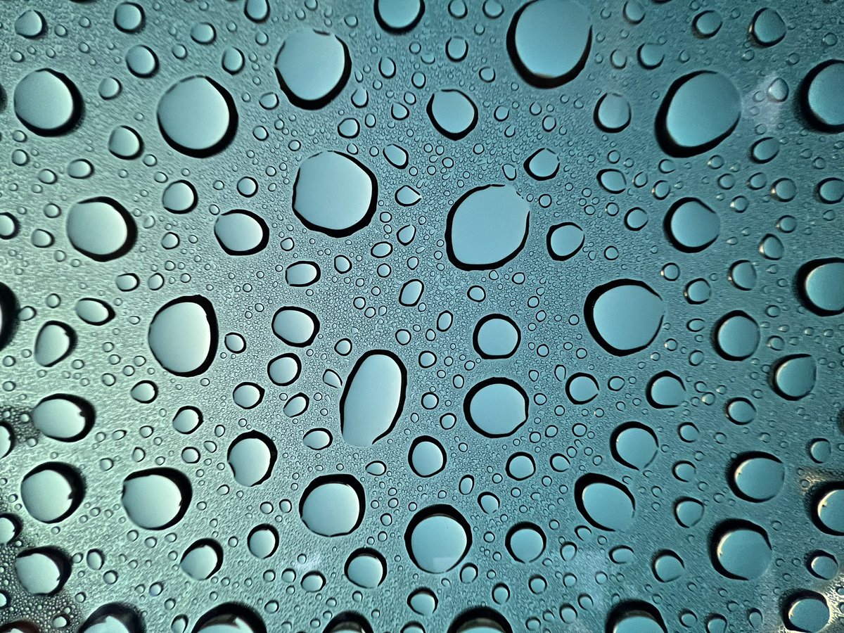 JimRose180's tweet photo. View through the roof of the Tesla in the morning. Heavy morning due in the south of England. https://t.co/OcxxMWJzPu