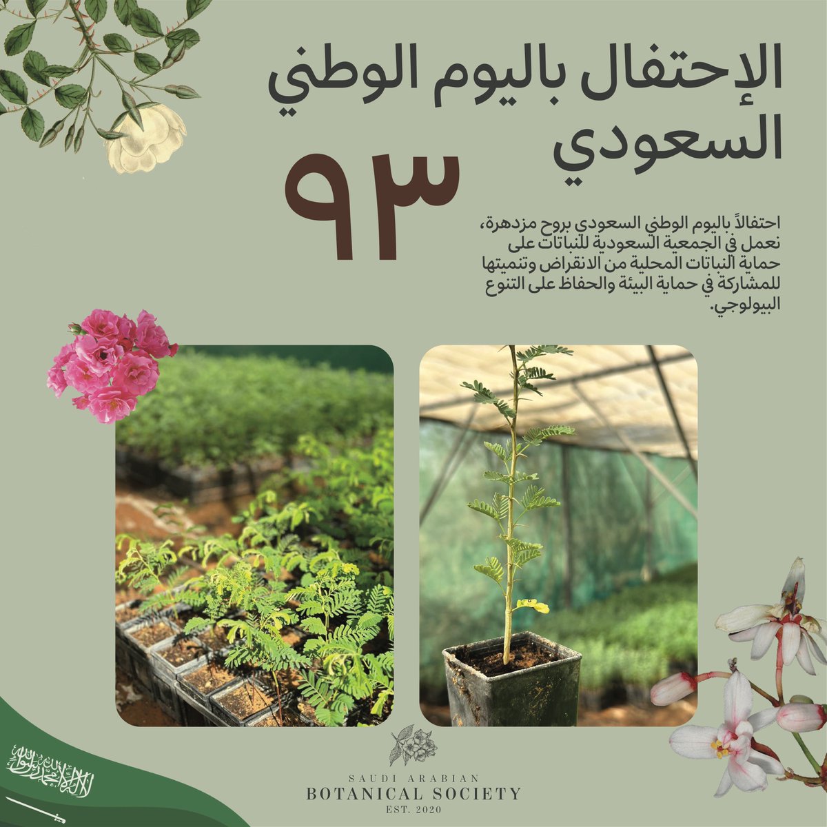 احتفالاً باليوم الوطني السعودي بروح مزدهرة، نعمل في Saudi Arabian Botanical Society الجمعية السعودية للنباتات على حماية النباتات المحلية 🌿 من الانقراض وتنميتها 
للمشاركة في حماية البيئة والحفاظ على التنوع البيولوجي 
نحلم ونحقق 🇸🇦 💚 🌿
#نحلم_ونحقق 
#اليوم_الوطني_السعودي_93