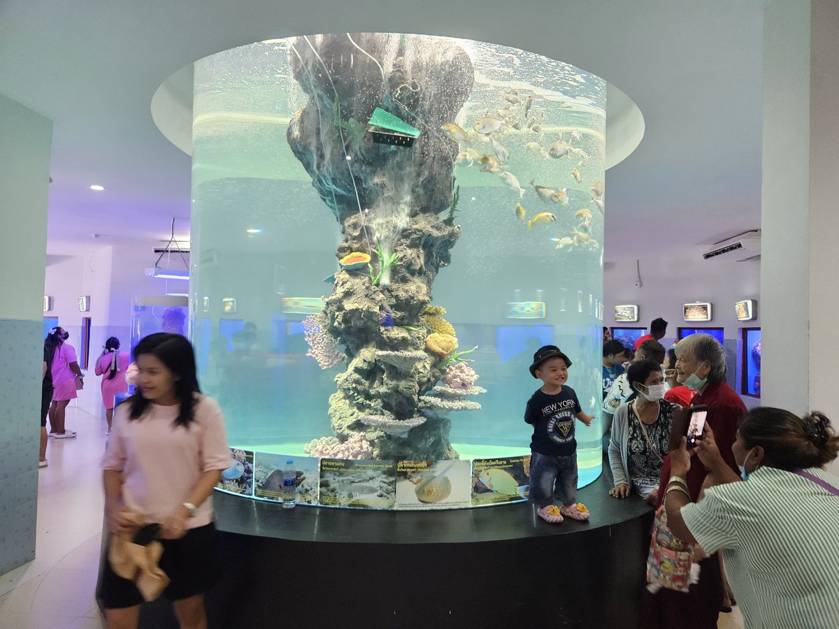 kafaak's tweet image. #สมุทรสาครอควาเรียม ไม่ใหญ่นะ เดินแป๊บเดียวจบ แต่ก็มีครบเครื่องนะ ยันอุโมงค์ปลา ที่แม้จะเล็กและไม่ยาว แต่ก็มี 🤣🤣 เก๋ๆ ปลาก็มีประมาณนึง ไม่ได้หวือหวา #triptwt